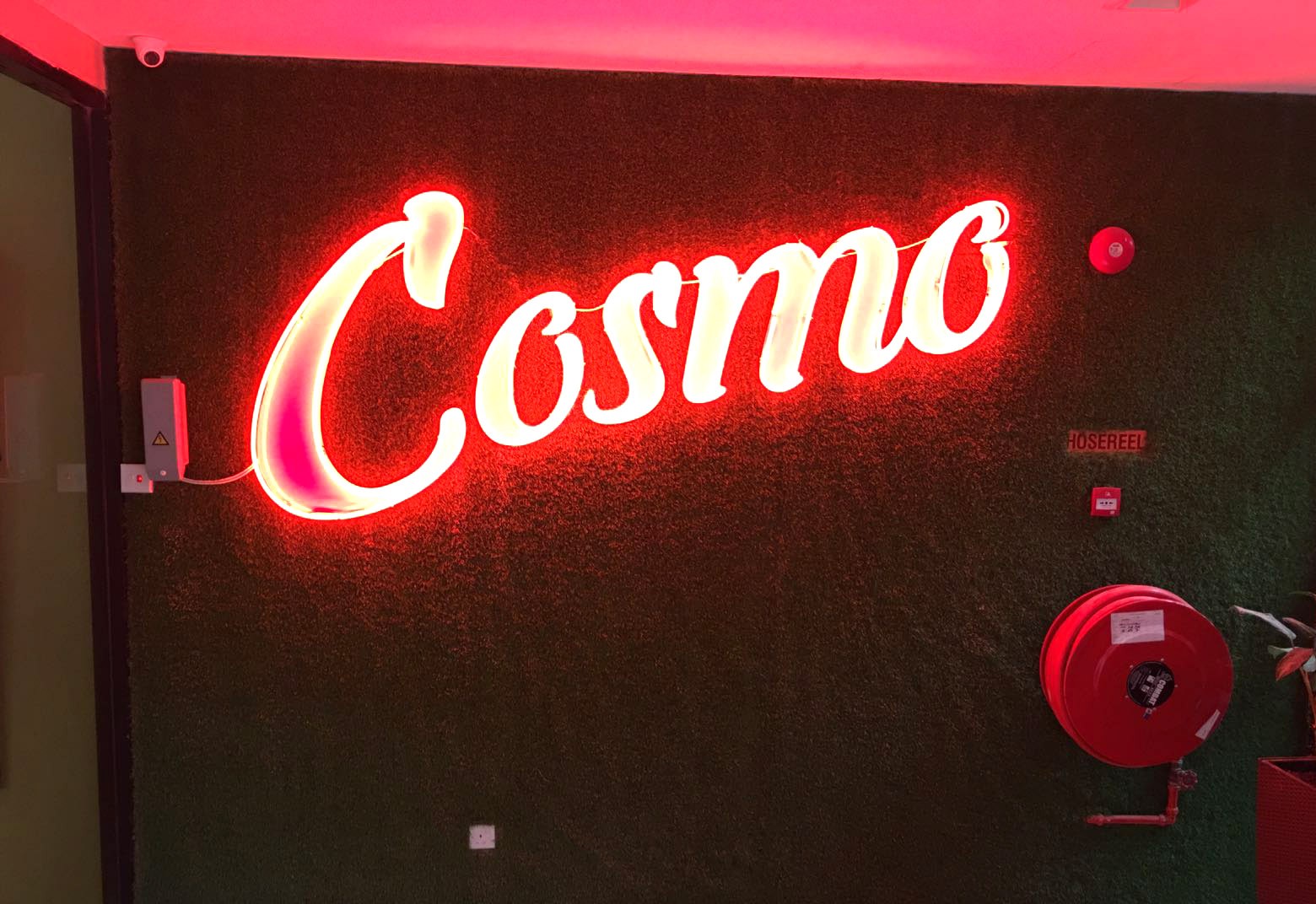 Cosmo (1)