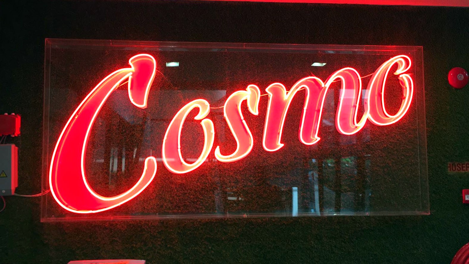 Cosmo (3)