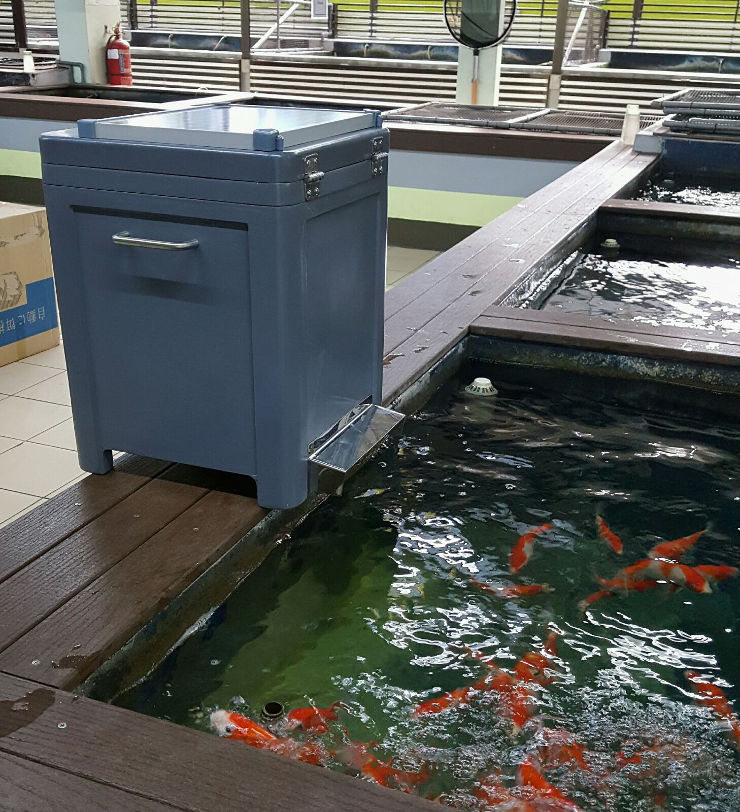 Solar koi food feeder Koi Pond Accessories Johor Bahru (JB), Malaysia ...