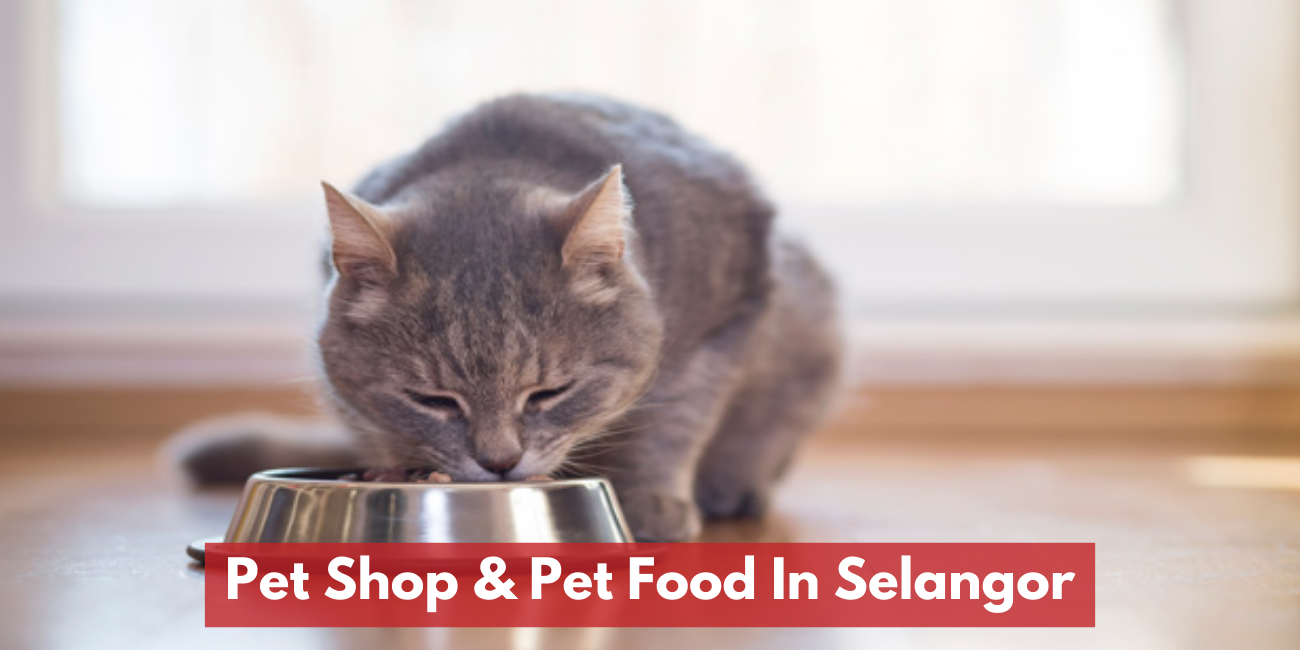 Pet Shop & Pet Food In Selangor & KL