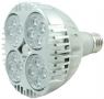 PAR 30 24W/25W LED BULB