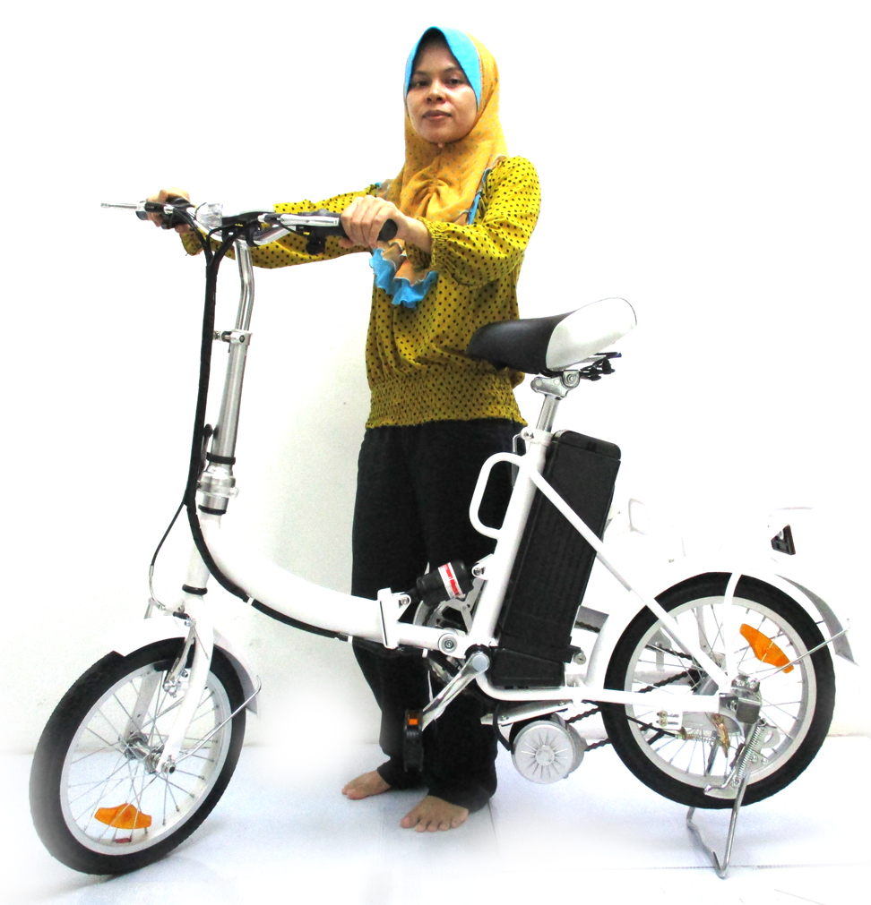购买Electric Bike Folding Bicycle 250W产品，Kuala Lumpur, KL ...