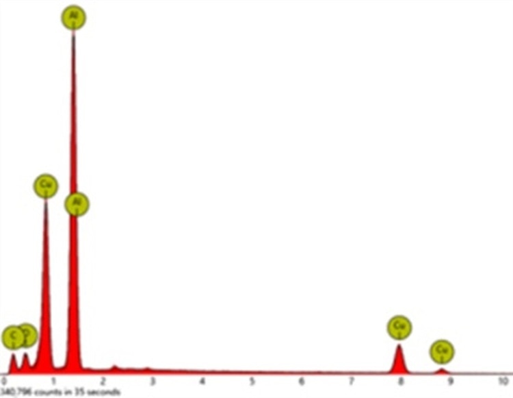 EDX analysis with scanning electron microscope