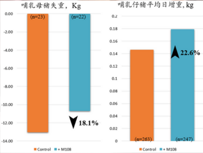 GNT ~ M108 要你发 实验表现